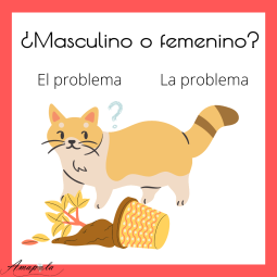 ¿MASCULINO O FEMENINO? | MUŽSKÝ ALEBO ŽENSKÝ ROD?