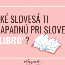 Aké slovesá ti napadnú pri slove "libro"? (Ejercicio sobre objetos)